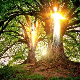 Логотип @go2ab - Ullis Gesundheits Einblick 🧘‍♀️💞🥦🍋🧄