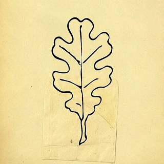 Логотип @go_genealogy - Генеалогика