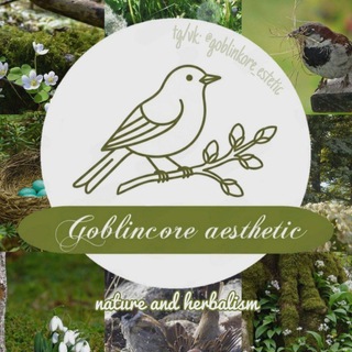 Логотип @goblinkore_estetic - 🌱 Goblincore ☀ | Гоблинкор