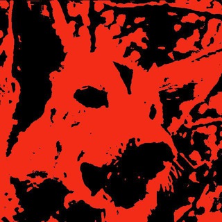 Логотип @god_sobaki_rave - Год Собаки