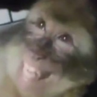 Логотип @godovasikmeme - Мэммм