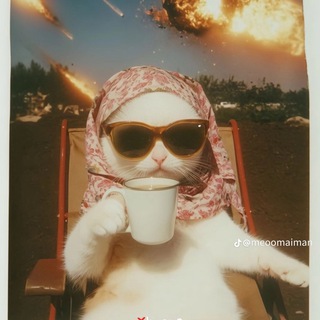 Логотип @gofffurther - Мои любимые мемы