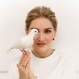 Логотип @gogaladzeinvest_crypto - Ольга Гогаладзе | Crypto