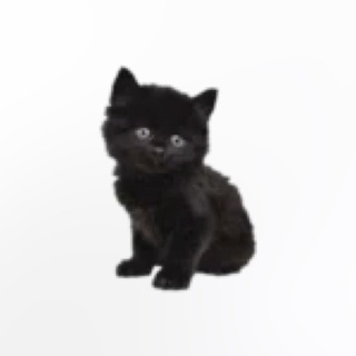 Логотип @gogolixxxxx - Чат