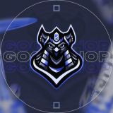 Логотип @gogoshopbrk - gogoshopbrk