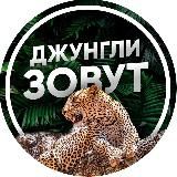 Логотип @gojungle - Джунгли Зовут