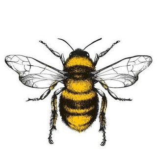 Логотип @goldbeegallery - گالری زنبور طلا