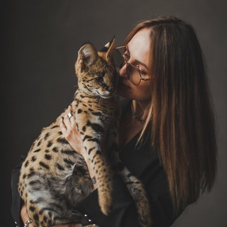 Логотип @golden_kitties - Golden Kitties