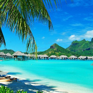 Логотип @goldendecnews - Инвесторы Малибу