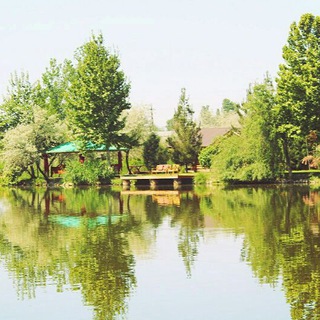 Логотип @goldenfishribalka - Рыболовный клуб Golden Fish