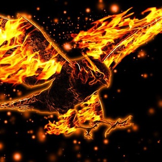 Логотип @goldensoli - Golden Eagle 🦅 Отчетник