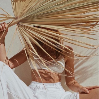 Логотип @golovanozgnici - Эстетика для твоих Stories ✨