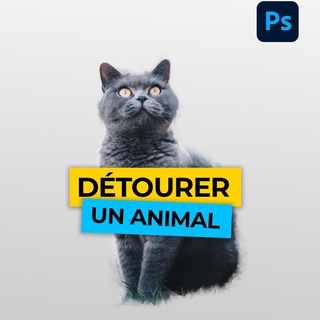 Логотип @gombodigitalgroupe - GomboDigital - Groupe