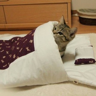 Логотип @gonauchebu - Идти на пары?