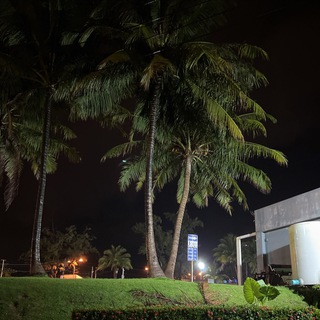 Логотип @gonefromrussia - Блог поехавшего из России