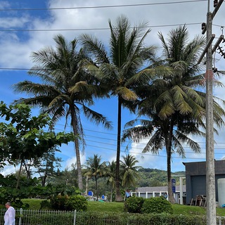 Логотип @gonefromrussiachat - Thailand Phuket Chat