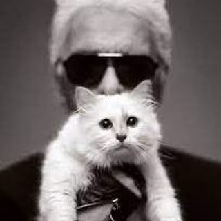 Логотип @goodmorningkarlitintl - Good morning, Karl!