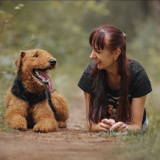 Логотип @goodogchat - Good Dog Chat