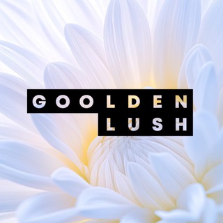Логотип @goolden_lush - GOOLDEN LUSH - СТУДИЯ КРАСОТЫ