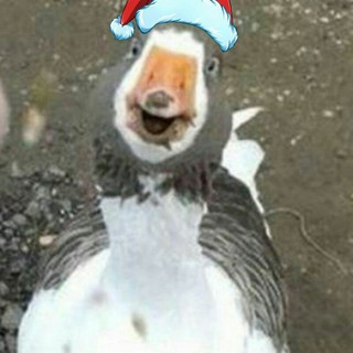 Логотип @goose_like - Гусеугодно