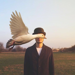 Логотип @goose_memes - мемы про гусей