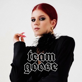 Логотип @gooseandtruteam - team goose 🚀