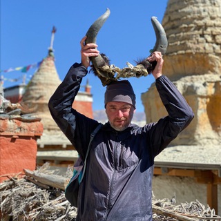 Логотип @goosete - goosetea