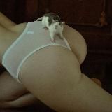 Логотип @gopcii - жопцка э́жжа 🐮