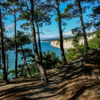 Логотип @gorade013 - ONYX