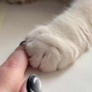 Логотип @gorenie_admina - Ювелирно-котишная мемошная