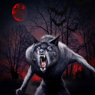 Логотип @gorgine_7 - 🐺gorgine🐺