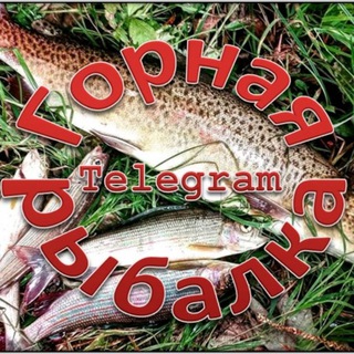 Логотип @gornaya_rybalka_telegram - ГОРНАЯ РЫБАЛКА🎣🐟