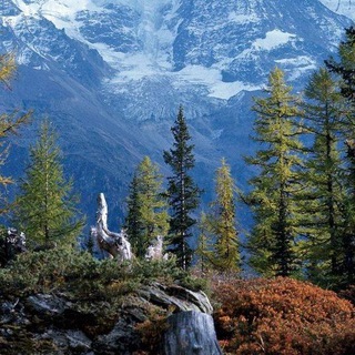 Логотип @gornoebezoomie - ГОРНОЕ БЕЗУМИЕ - экскурсии по Кавказу