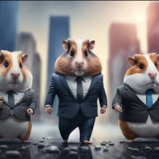 Логотип @gorodinvestorov_138 - Город Инвесторов38 Chat