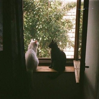 Логотип @gorodokk_famdomov - Гᴏᴩᴏдᴏᴋ Фᴀндᴏʍᴏʙ(^_^)