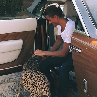 Логотип @gorokhovbetmoney - 👨‍💻ОБУЧЕНИЕ👩‍💻GOROKHOVBET