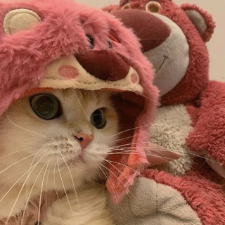 Логотип @goroskocat - кошачий гороскоп