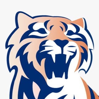 Логотип @gorovgor - АМБА🐅