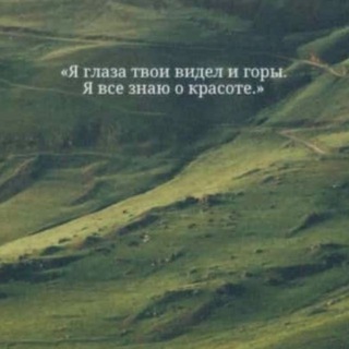 Логотип @goryzovutt - Поэзия гор | Глядя на вершину
