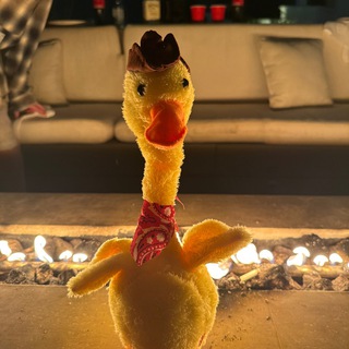 Логотип @goshadubai - Гоша DUBAI