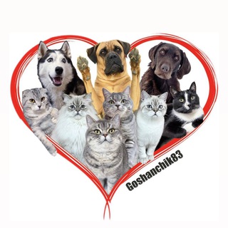 Логотип @goshanchik1983 - Goshanchik83