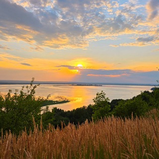 Логотип @gosharetreats - Семья Чернышевых