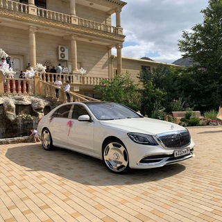 Логотип @gosnomera_05 - Гос Номера