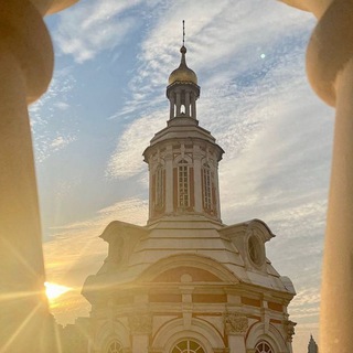 Логотип @gospital_rodnye_lybimye - Госпитальное дело_делимся опытом