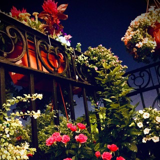 Логотип @gospojanedacha - Недача