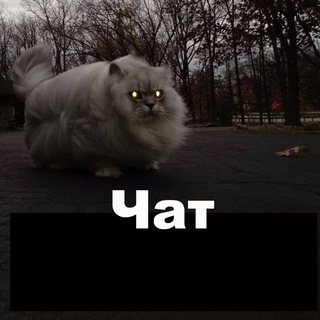 Логотип @gossip_chat - Чат Підслухано в НаУКМА
