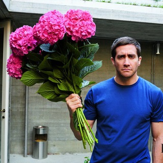 Логотип @gossipofff - GOSSIPOFF