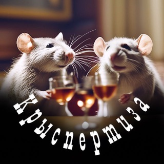 Логотип @gossipsinthecity - Крыспертиза