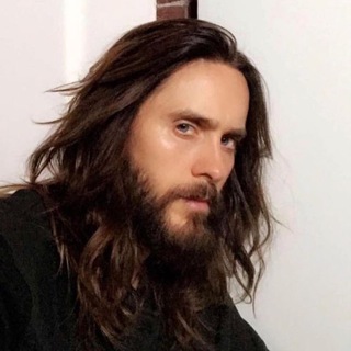 Логотип @govnist - стилист vs говнист