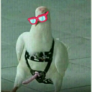 Логотип @govnoposti - Govnoposti ♨️